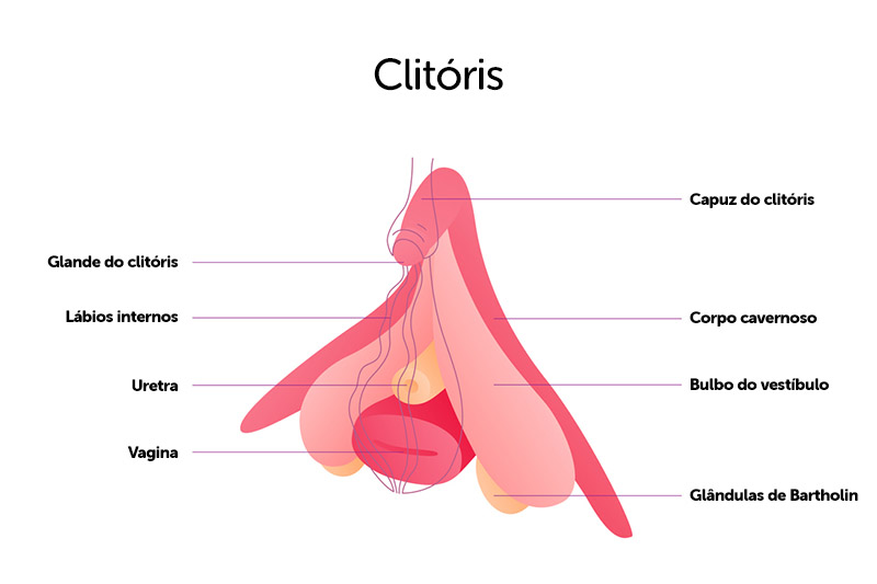 donde-esta-el-clitoris